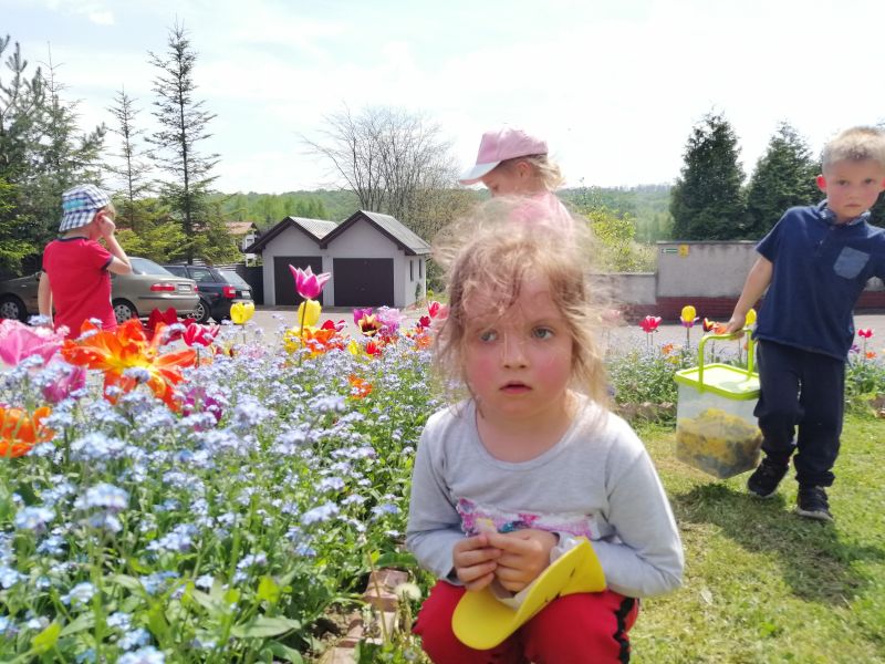 W poszukiwaniu mniszka lekarskiego - zdjęcie 20